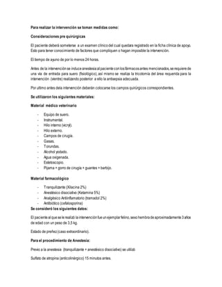 Para realizar la intervención se toman medidas como:
Consideraciones pre quirúrgicas
El paciente deberá someterse a un examen clínicodel cual quedara registrado en la ficha clínica de apoyo.
Esto para tener conocimiento de factores que compliquen o hagan imposible la intervención.
El tiempo de ayuno de por lo menos 24 horas.
Antes de la intervenciónse induceanestesiaalpacienteconlosfármacosantes mencionados,serequierede
una vía de entrada para suero (fisiológico), así mismo se realiza la tricotomía del área requerida para la
intervención (vientre) realizando posterior a ello la antisepsia adecuada.
Por ultimo antes dela intervención deberán colocarse los campos quirúrgicos correspondientes.
Se utilizaron los siguientes materiales:
Material médico veterinario
- Equipo de suero.
- Instrumental.
- Hilo interno (vicryl).
- Hilo externo.
- Campos de cirugía.
- Gasas.
- Torundas.
- Alcohol yodado.
- Agua oxigenada.
- Estetoscopio.
- Pijama + gorro de cirugía + guantes + barbijo.
Material farmacológico
- Tranquilizante (Xilacina 2%)
- Anestésico disociativo (Ketamina 5%)
- Analgésico Antiinflamatorio (tramadol 2%)
- Antibiótico (cefalosporina)
Se consideró los siguientes datos:
El pacientealqueselerealizó laintervenciónfueunejemplarfelino,sexohembradeaproximadamente3años
de edad con un peso de 3,5 kg.
Estado de preñez(caso extraordinario).
Para el procedimiento de Anestesia:
Previo a la anestesia (tranquilizante + anestésico disociativo) se utilizó
Sulfato de atropina (anticolinérgico) 15 minutos antes.
 