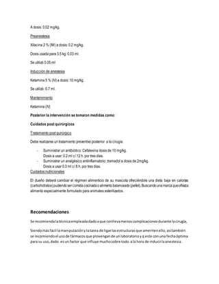 A dosis: 0.02 mg/kg.
Preanestesia
Xilacina 2 % (IM) a dosis: 0.2 mg/kg.
Dosis usada para 3.5 kg: 0.03 ml.
Se utilizó 0.05 ml
Inducción de anestesia
Ketamina 5 % (IV) a dosis: 10 mg/kg.
Se utilizó: 0.7 ml.
Mantenimiento
Ketamina (IV)
Posterior la intervención se tomaron medidas como:
Cuidados post quirúrgicos
Tratamiento post quirúrgico
Debe realizarse un tratamiento preventivo posterior a la cirugía:
- Suministrar un antibiótico: Cefalexina dosis de 10 mg/kg.
Dosis a usar: 0.2 ml c/ 12 h. por tres días.
- Suministrar un analgésico antiinflamatorio: tramadol a dosis de 2mg/kg.
Dosis a usar 0.3 ml c/ 8 h. por tres días.
Cuidados nutricionales
El dueño deberá cambiar el régimen alimenticio de su mascota ofreciéndole una dieta baja en calorías
(carbohidratos)pudiendosercomidacocinadaoalimentobalanceado(pellet).Buscandounamarcaqueofrezca
alimento especialmente formulado para animales esterilizados.
Recomendaciones
Se recomiendalatécnicaempleadadadoaque conllevamenoscomplicacionesdurante lacirugía,
Siendomásfácil lamanipulacióny latarea de ligarlasestructurasque ameritenello,asítambién
se recomiendoel usode fármacosque provengande unlaboratorioyq este con una fechaóptima
para su uso,dado esun factor que influye muchosobre todo ala hora de inducirlaanestesia.
 