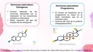 Hormonas esteroideas-
Estrógenos
✓ Parecen depender de las
hormonas esteroideas por su
implicación en los mecanismos
celulares y moleculares.
✓ Mayor expresión del gen del
receptor de los estrógenos.
Hormonas esteroideas-
Progesterona
✓ El número de receptores de la
progesterona es mayor en el
tejido miomatoso que en el
miometrio sano.
✓ Ascenso del nivel de la proteína
antiapoptósica Bcl-2
S. Bendifallah, J.-M. Levaillant, H. Fernandez. Mioma uterino y Fertilidad. Rev. Medica EMC. Elsevier Masson. 2011. volumen 47, paginas 1-25
 