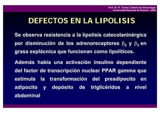 Prof. Dr. R. Tozzini, Cátedra de Ginecología
                                           Universidad Nacional de Rosario - 2004




     DEFECTOS EN LA LIPOLISIS
Se observa resistencia a la lipolisis catecolaninérgica
por disminución de los adrenoreceptores β2 y β3 en
grasa esplácnica que funcionan como lipolíticos.

Además había una activación insulino dependiente
del factor de transcripción nuclear PPAR gamma que
estimula la transformación del preadipocito en
adipocito   y   depósito   de   triglicéridos          a       nivel
abdominal
 