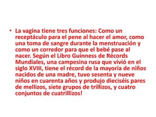 • La vagina tiene tres funciones: Como un
  receptáculo para el pene al hacer el amor, como
  una toma de sangre durante la menstruación y
  como un corredor para que el bebé pase al
  nacer. Según el Libro Guinness de Récords
  Mundiales, una campesina rusa que vivió en el
  siglo XVIII, tiene el récord de la mayoría de niños
  nacidos de una madre, tuvo sesenta y nueve
  niños en cuarenta años y produjo dieciséis pares
  de mellizos, siete grupos de trillizos, y cuatro
  conjuntos de cuatrillizos!
 