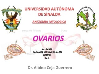 ALUMNO:
CARVAJAL SEPULVEDA ALAN
GRUPO:
IV-4

Dr. Albino Ceja Guerrero

 