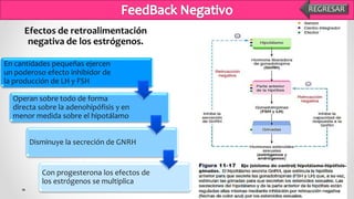 En cantidades pequeñas ejercen
un poderoso efecto inhibidor de
la producción de LH y FSH
Operan sobre todo de forma
directa sobre la adenohipófisis y en
menor medida sobre el hipotálamo
Disminuye la secreción de GNRH
Con progesterona los efectos de
los estrógenos se multiplica
Efectos de retroalimentación
negativa de los estrógenos.
SiguienteREGRESAR
 