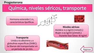 Hormona esteroide C-21,
características lipofílicas
Niveles séricos
Hombre: 0.3 ng/ml (1nmol/L)
Mujer: 0.9 ng/ml (3nmol/L)
Durante fase lútea: 18 ng/ml
Transporte
Unida a la albúmina y a
globulinas específicas (SHBG).
Se liberan del transportador en
un periodo de 30 min. Regresar
 