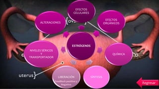 ESTRÓGENOS
EFECTOS
CELULARES
EFECTOS
ORGÁNICOS
QUÍMICA
SÍNTESISLIBERACIÓN
NIVELES SÉRICOS
Y
TRANSPORTADOR
ALTERACIONES
FeedBack positivo y
Negativo
Regresar
 