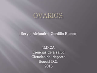 Sergio Alejandro Gordillo Blanco
U.D.CA
Ciencias de a salud
Ciencias del deporte
Bogotá D.C.
2016
 