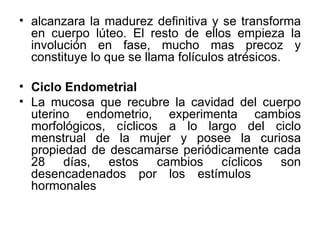 • alcanzara la madurez definitiva y se transforma
  en cuerpo lúteo. El resto de ellos empieza la
  involución en fase, mucho mas precoz y
  constituye lo que se llama folículos atrésicos.

• Ciclo Endometrial
• La mucosa que recubre la cavidad del cuerpo
  uterino endometrio, experimenta cambios
  morfológicos, cíclicos a lo largo del ciclo
  menstrual de la mujer y posee la curiosa
  propiedad de descamarse periódicamente cada
  28 días, estos cambios cíclicos son
  desencadenados por los estímulos
  hormonales
 