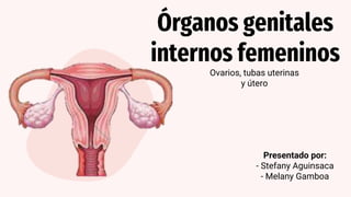 Órganos genitales
internos femeninos
Ovarios, tubas uterinas
y útero
Presentado por:
- Stefany Aguinsaca
- Melany Gamboa
 