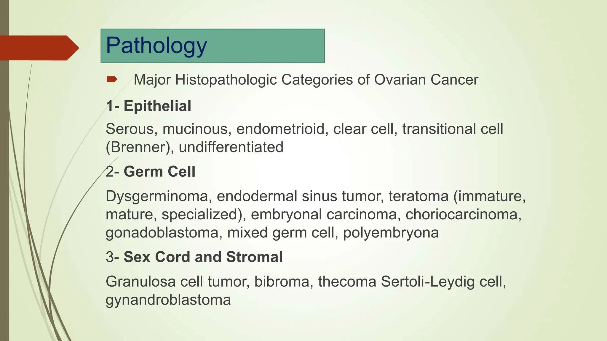 Ovary Anatomy and Malignancy: A Guide to surgical Management | PPT
