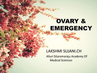 OVARY & 
EMERGENCY 
LAKSHMI SUJANI.CH 
Alluri Sitaramaraju Academy Of 
Medical Sciences 
 