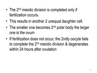 • The 2nd meiotic division is completed only if
fertilization occurs.
• This results in another 2 unequal daughter cell.
• The smaller one becomes 2nd polar body the larger
one is the ovum
• If fertilization does not occur, the 2ndly oocyte fails
to complete the 2nd meiotic division & degenerates
within 24 hours after ovulation
13
 