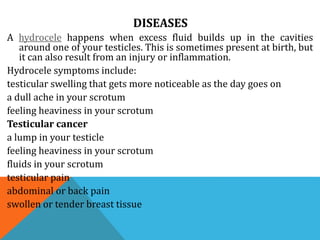 DISEASES
A hydrocele happens when excess fluid builds up in the cavities
around one of your testicles. This is sometimes present at birth, but
it can also result from an injury or inflammation.
Hydrocele symptoms include:
testicular swelling that gets more noticeable as the day goes on
a dull ache in your scrotum
feeling heaviness in your scrotum
Testicular cancer
a lump in your testicle
feeling heaviness in your scrotum
fluids in your scrotum
testicular pain
abdominal or back pain
swollen or tender breast tissue
 