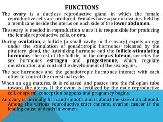 FUNCTIONS
The ovary is a ductless reproductive gland in which the female
reproductive cells are produced. Females have a pair of ovaries, held by
a membrane beside the uterus on each side of the lower abdomen.
The ovary is needed in reproduction since it is responsible for producing
the female reproductive cells, or ova.
During ovulation, a follicle (a small cavity in the ovary) expels an egg
under the stimulation of gonadotropic hormones released by the
pituitary gland, the luteinizing hormone and the follicle-stimulating
hormone. The rest of the follicle, or the corpus luteum, secretes the
sex hormones estrogen and progesterone, which regulate
menstruation and control the development of the sex organs.
The sex hormones and the gonadotropic hormones interact with each
other to control the menstrual cycle.
When an egg matures, it is released and passes into the fallopian tube
toward the uterus. If the ovum is fertilized by the male reproductive
cell, or sperm, conception happens and pregnancy begins.
An ovary is normally firm and smooth and is about the size of an almond.
Among the various reproductive tract cancers, ovarian cancer is the
leading cause of death in women.
 