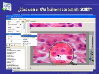 ¿Cómo crear un OVA facilmente con estandar SCORM? 