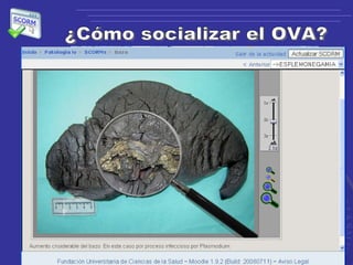 ¿Cómo socializar el OVA? 