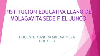 INSTITUCION EDUCATIVA LLANO DE
MOLAGAVITA SEDE F EL JUNCO
DOCENTE: SANDRA MILENA NOVA
ROSALES
 