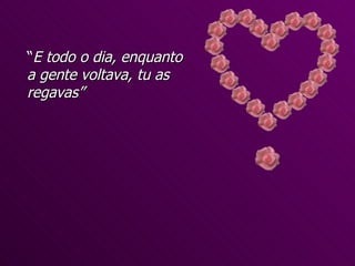 “ E todo o dia, enquanto a gente voltava, tu as regavas” 