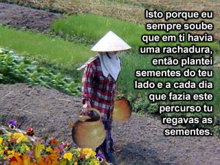 A senhora idosa
sorriu e disse:
Já reparaste nas
flores que estão
do teu lado no
caminho?
Enquanto no outro
lado não tem
nenhuma.
 