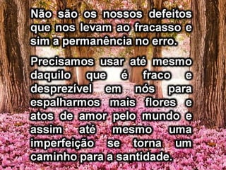 Devemos aceitar as pessoas
como são, procurando ver nelas
aquilo que têm de melhor.
 