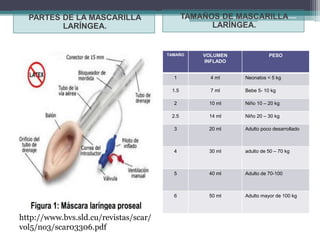 PARTES DE LA MASCARILLA
LARÍNGEA.
TAMAÑOS DE MASCARILLA
LARÍNGEA.
http://www.bvs.sld.cu/revistas/scar/
vol5/no3/scar03306.pdf
TAMAÑO VOLUMEN
INFLADO
PESO
1 4 ml Neonatos < 5 kg
1.5 7 ml Bebe 5- 10 kg
2 10 ml Niño 10 – 20 kg
2.5 14 ml Niño 20 – 30 kg
3 20 ml Adulto poco desarrollado
4 30 ml adulto de 50 – 70 kg
5 40 ml Adulto de 70-100
6 50 ml Adulto mayor de 100 kg
 
