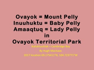 Ovayok = Mount Pelly
Inuuhuktu = Baby Pelly
Amaaqtuq = Lady Pelly
in
Ovayok Territorial Park
Ikaluktuuttiak = Cambridge Bay
By Hugh MacIsaac
2017 location 69.175411°N, 104.723771°W
 