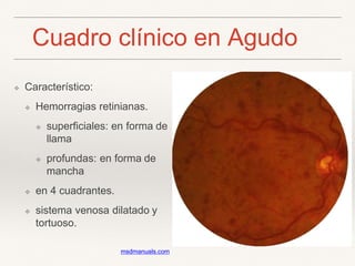 Cuadro clínico en Agudo
❖ Característico:
❖ Hemorragias retinianas.
❖ superficiales: en forma de
llama
❖ profundas: en forma de
mancha
❖ en 4 cuadrantes.
❖ sistema venosa dilatado y
tortuoso.
msdmanuals.com
 