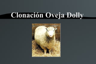 Clonación Oveja Dolly
 