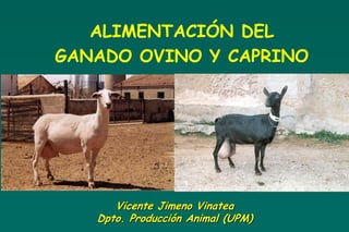ALIMENTACIÓN DEL
GANADO OVINO Y CAPRINO




      Vicente Jimeno Vinatea
   Dpto. Producción Animal (UPM)
 