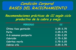 Condición Corporal
  BASES DEL RACIONAMIENTO
Recomendaciones prácticas de CC según ciclo
      productivo de la cabra y oveja
              PERIODO              CC
Última fase gestación           3,25-3,75
Parto                           3,25-3,75
4-6 semanas postparto           2,50-3,25
Cubrición                       2,75-3,50
Cabritas recría                 2,75-3,25
Cabras cría                     3,25-3,75
 