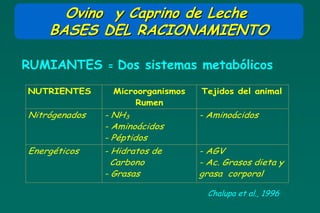 Ovino y Caprino de Leche
    BASES DEL RACIONAMIENTO

RUMIANTES      =   Dos sistemas metabólicos
NUTRIENTES       Microorganismos   Tejidos del animal
                      Rumen
Nitrógenados   - NH3               - Aminoácidos
               - Aminoácidos
               - Péptidos
Energéticos    - Hidratos de       - AGV
                 Carbono           - Ac. Grasos dieta y
               - Grasas            grasa corporal

                                     Chalupa et al., 1996
 