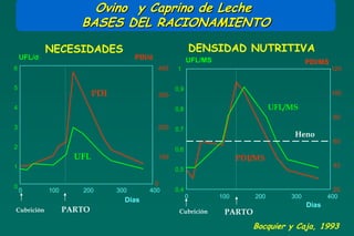 Ovino y Caprino de Leche
                     BASES DEL RACIONAMIENTO

            NECESIDADES                                   DENSIDAD NUTRITIVA
    UFL/d                             PDI/d               UFL/MS                             PDI/MS
6                                             400   1                                                 120


5                                                   0,9
                          PDI                 300                                                     100

4                                                   0,8                            UFL/MS
                                                                                                      80
3                                             200   0,7
                                                                                        Heno
                                                                                                      60
2                                                   0,6
                    UFL                       100                        PDI/MS
1                                                                                                     40
                                                    0,5

0                                           0
    0       100      200        300       400       0,4                                               20
                                                          0        100       200       300          400
                                  Días
                                                                                             Días
Cubrición         PARTO                              Cubrición      PARTO
                                                                            Bocquier y Caja, 1993
 