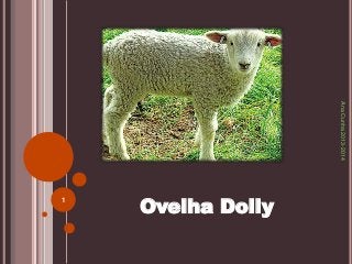 Ana Cunha 2013-2014

Ovelha Dolly
1

 