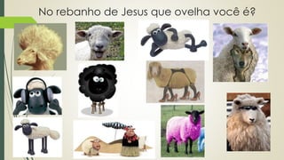 No rebanho de Jesus que ovelha você é? 
 