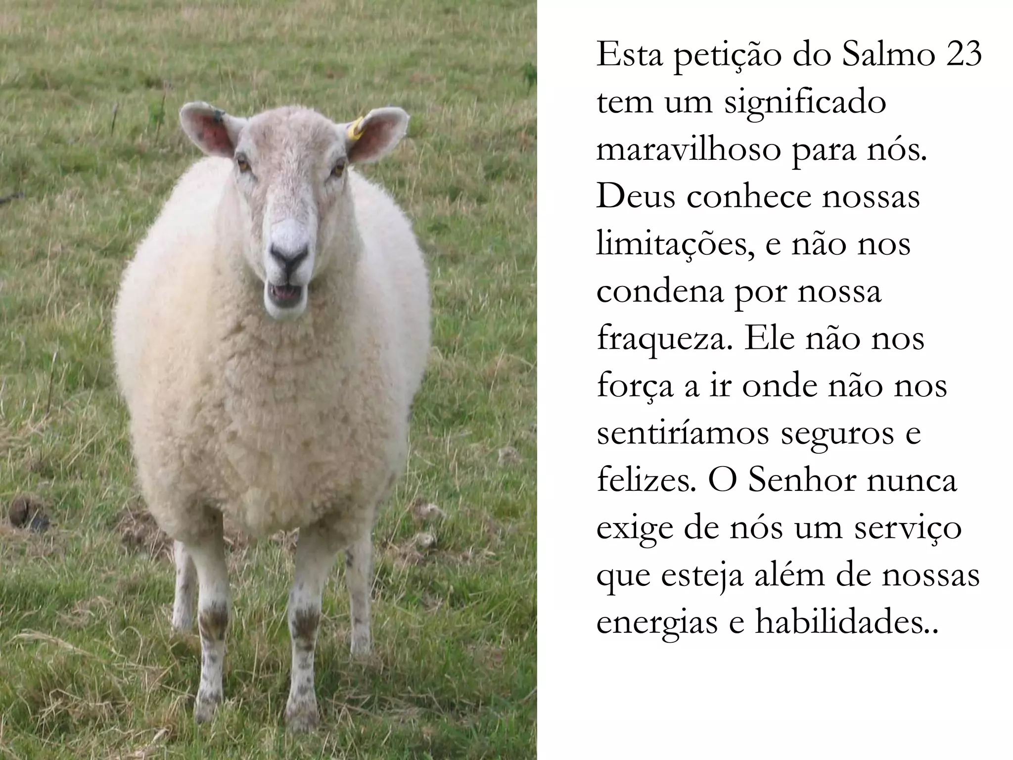 Esta petição do Salmo 23
tem um significado
maravilhoso para nós.
Deus conhece nossas
limitações, e não nos
condena por nossa
fraqueza. Ele não nos
força a ir onde não nos
sentiríamos seguros e
felizes. O Senhor nunca
exige de nós um serviço
que esteja além de nossas
energias e habilidades..
