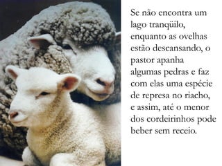 Se não encontra um
lago tranqüilo,
enquanto as ovelhas
estão descansando, o
pastor apanha
algumas pedras e faz
com elas uma espécie
de represa no riacho,
e assim, até o menor
dos cordeirinhos pode
beber sem receio.
 