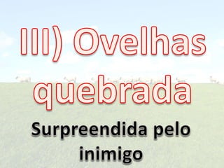 Ovelhas 141114081317-conversion-gate01