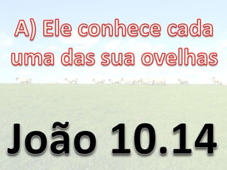 Ovelhas 141114081317-conversion-gate01