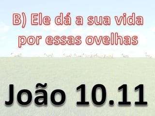 Ovelhas 141114081317-conversion-gate01