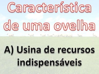 Ovelhas 141114081317-conversion-gate01
