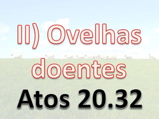 Apascenta Ovelhas
