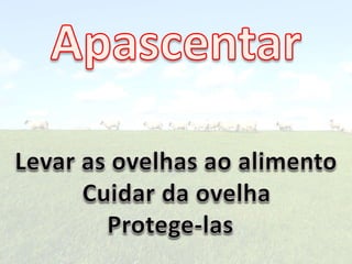 Apascenta Ovelhas