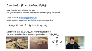 Over fosfor (P) en fosfaat (P2O5)
Baat het niet dan schaadt het wel!
Een goede bodem is de basis voor een efficiënte kringloop van fosfaat.
Ariën Baken, a.baken@planet.nl
Eerder docent Hogeschool van Hall Larenstein, Leeuwarden
P : P2O5 = 31 : 142  1 kg P = 2,29 kg P2O5
Apatieten: bijv. Ca5(PO4)3OH = hydroxyapatiet is
basis voor fosfaat kunstmest: superfosfaat = Ca(H2PO4)2
 