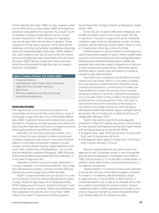 can gabapentin cause seizures in humans