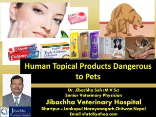 Dr. Jibachha Sah (M.V.Sc)
Senior Veterinary Physician
Jibachha Veterinary Hospital
Bhartpur-4,Lankupul,Narayanagarh,Chitwan,Nepal
Email:vhrtc@yahoo.com
Human Topical Products Dangerous
to Pets
 