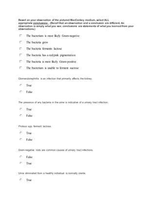 Based on your observation of the pictured MacConkey medium, select ALL
appropriate conclusions . (Recall that an observation and a conclusion are different. An
observation is simply what you see; conclusions are statements of what you learned from your
observations.)
The bacterium is most likely Gram-negative
The bacteria grew
The bacteria ferments lactose
The bacteria has a red/pink pigmentation
The bacteria is most likely Gram-positive
The bacterium is unable to ferment sucrose
Glomerulonephritis is an infection that primarily affects the kidney.
True
False
The presence of any bacteria in the urine is indicative of a urinary tract infection.
True
False
Proteus spp. ferment lactose.
True
False
Gram-negative rods are common causes of urinary tract infections.
False
True
Urine eliminated from a healthy individual is normally sterile.
True
 