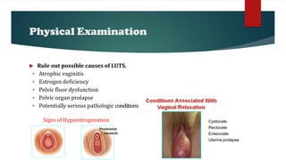 Physical Examination
 Rule out possible causes of LUTS.
 Atrophic vaginitis
 Estrogen deficiency
 Pelvic floor dysfunction
 Pelvic organ prolapse
 Potentially serious pathologic conditions
Signs of Hypoestrogenation
Prominent
caruncle
• Cystocele
• Rectocele
• Enterocele
• Uterine prolapse
 
