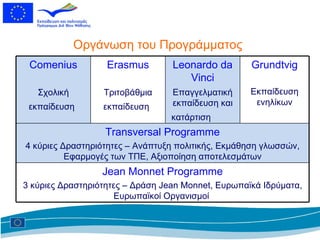 Οργάνωση του Προγράμματος Comenius Σχολική εκπαίδευση   Erasmus Τριτοβάθμια εκπαίδευση   Leonardo da Vinci Επαγγελματική εκπαίδευση και κατάρτιση  Grundtvig Εκπαίδευση ενηλίκων Transversal Programme 4  κύριες Δραστηριότητες  –  Ανάπτυξη πολιτικής,   Εκμάθηση γλωσσών,   Εφαρμογές των ΤΠΕ,   Αξιοποίηση αποτελεσμάτων Jean Monnet Programme 3  κύριες Δραστηριότητες  –  Δράση  Jean Monnet ,   Ευρωπαϊκά Ιδρύματα,   Ευρωπαϊκοί Οργανισμοί   