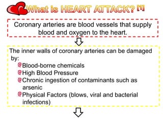 Coronary arteries are blood vessels that supply blood and oxygen to the heart. ,[object Object],[object Object],[object Object],[object Object],[object Object],[object Object],[object Object],[object Object]