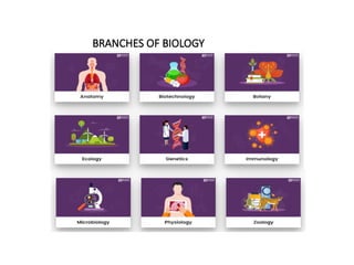 BRANCHES OF BIOLOGY
 