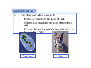 1. Living Things Are Made Up of Cells
• Unicellular organisms are made of 1 cell
• Multicellular organisms are made of more than 1
cell
• Cells are the smallest unit of an organism that can
be considered “alive”
Requirements For Life
Paramecium Dog
 